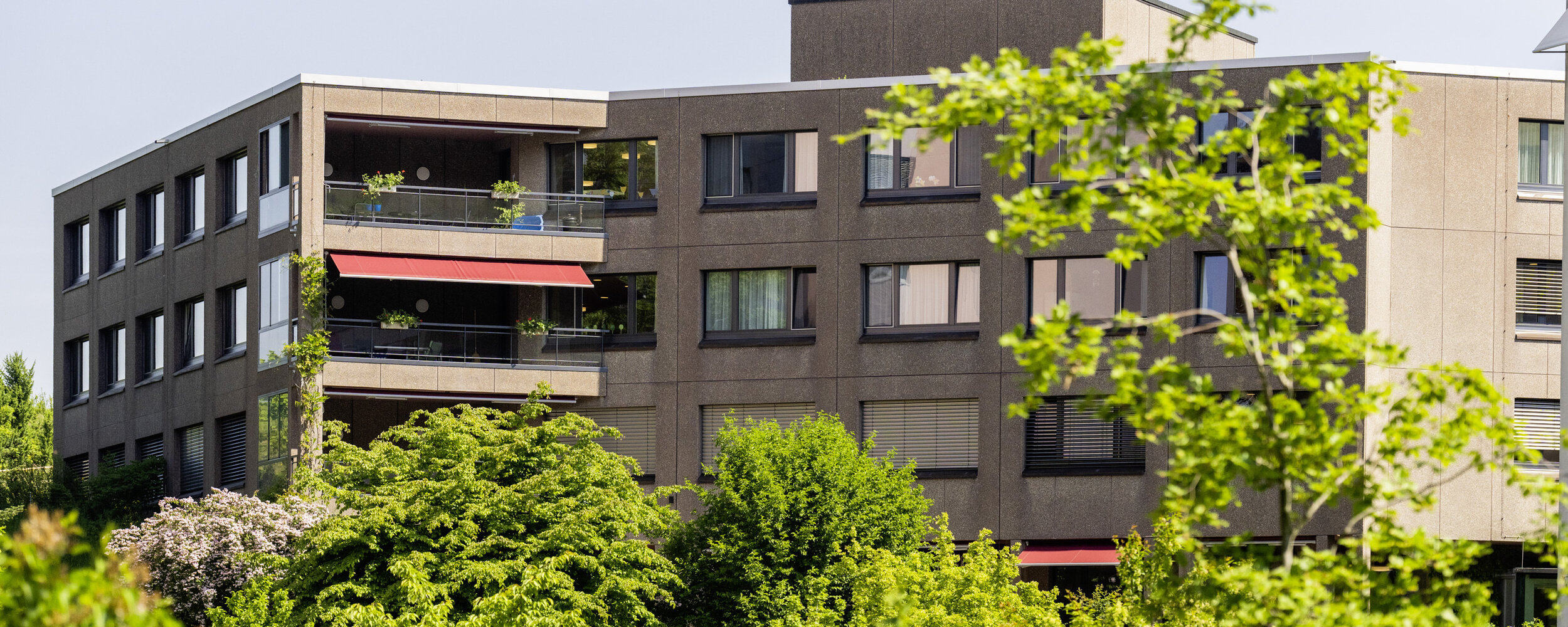 Haus Waldegg, Heinrichsbad